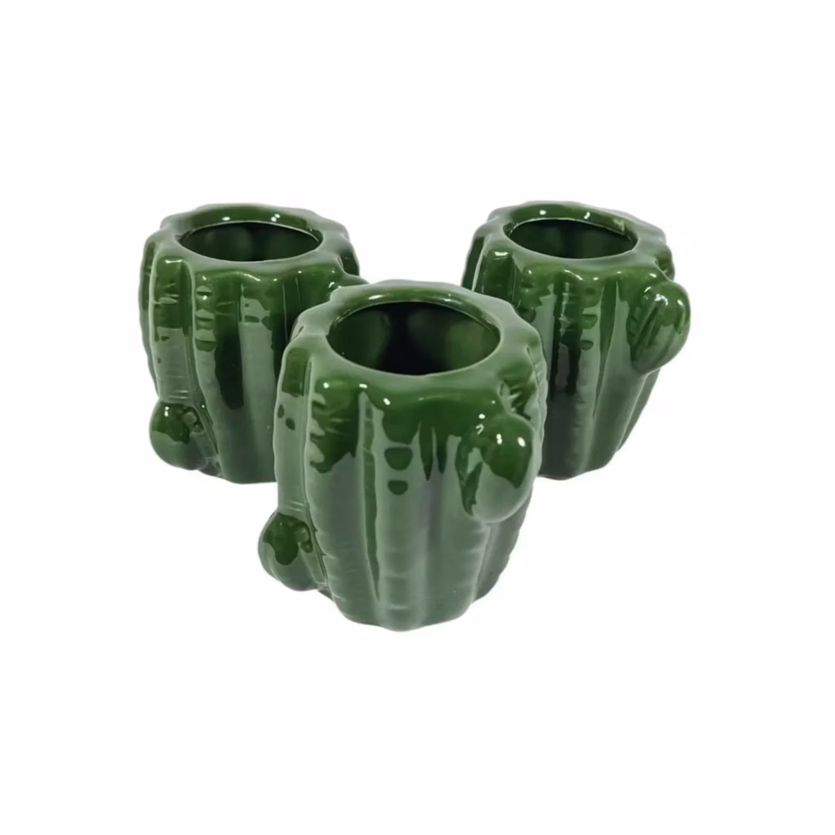 Cachepots de Cerâmica Artesanal com Cactos Exóticos: Detalhes que Contam Histórias e Refletem Sua Essência - inspiração