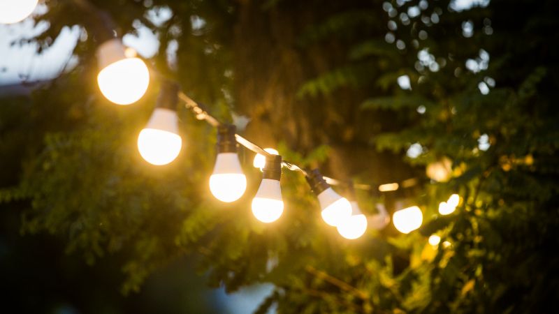 Iluminação Festiva com Cordão de Luzes: Noites Mágicas no Seu Jardim - ideia
