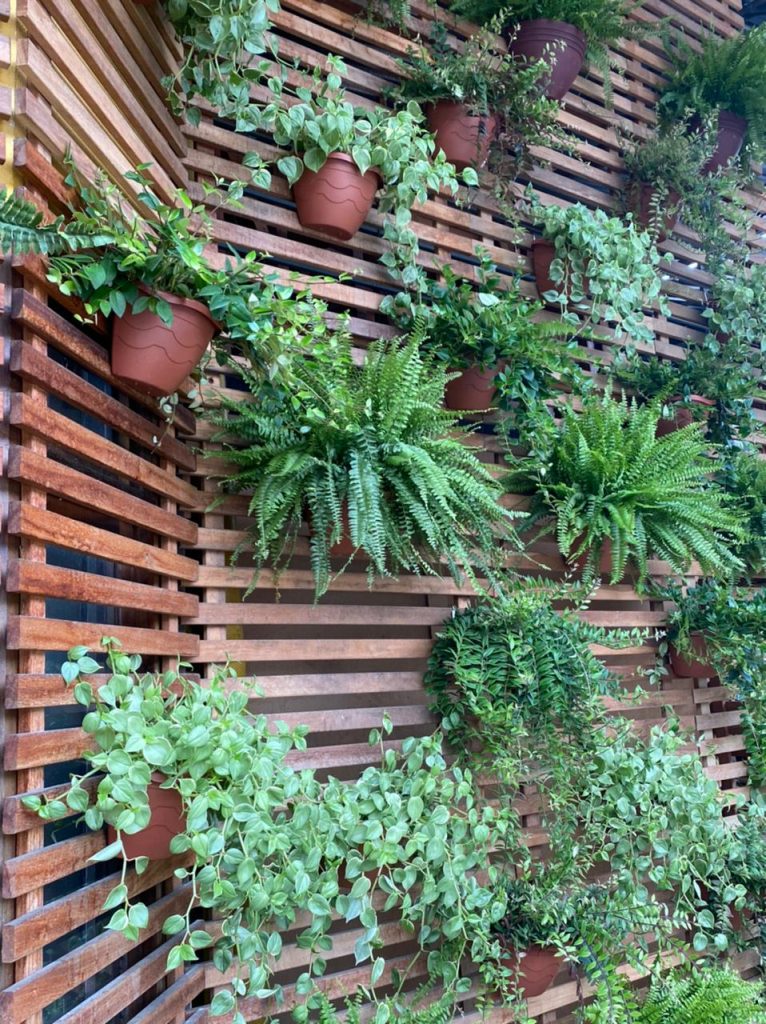 No Tronco de Árvore: Uma Simbiose Perfeita com a Natureza - detalhe