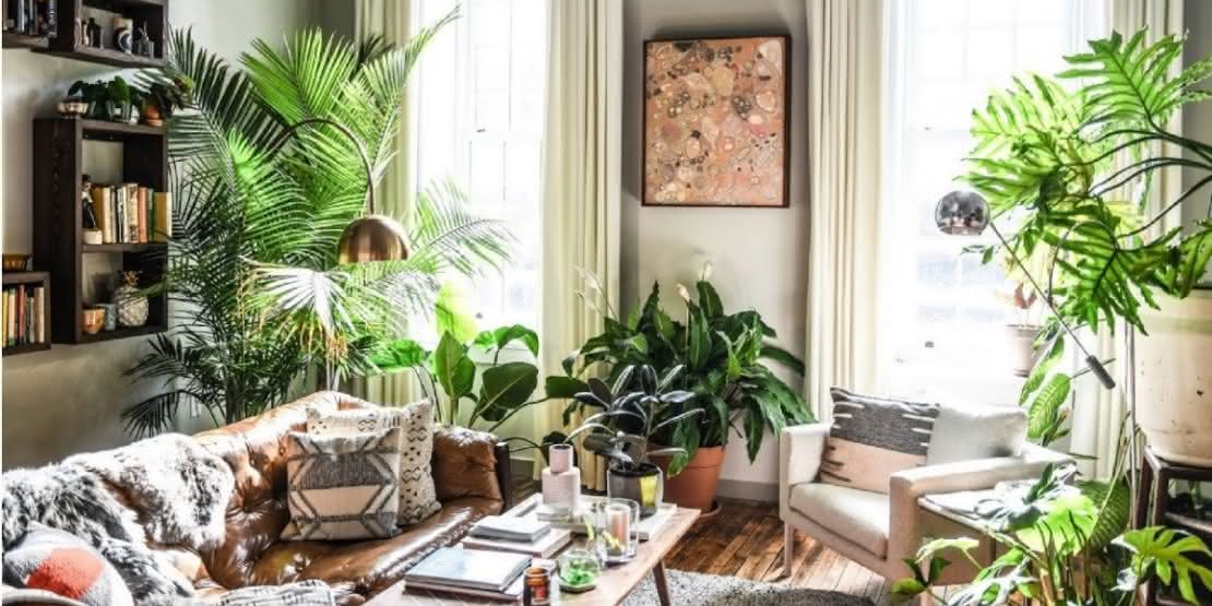 Sala de Estar Tropical com Plantas Exuberantes - ideia