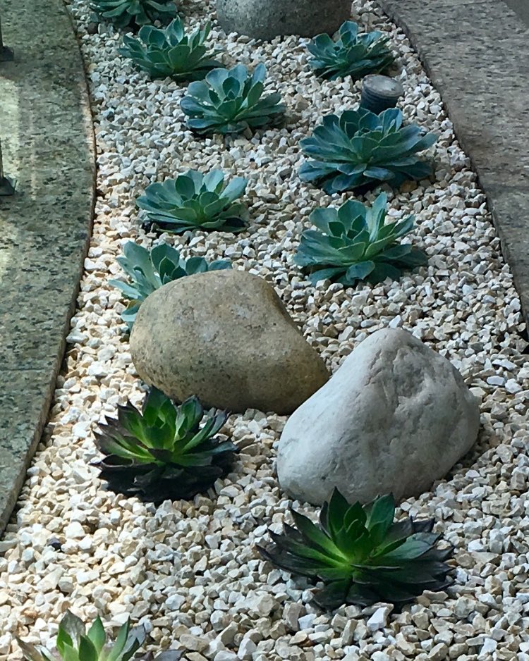 Jardim Minimalista Elegante com Seixos Brancos e Suculentas - detalhe