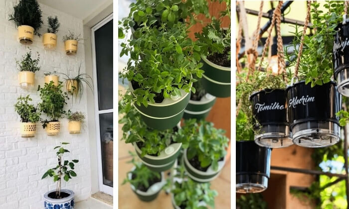 Com Temperos e Ervas: Beleza, Aroma e Sabor à Mão - detalhe