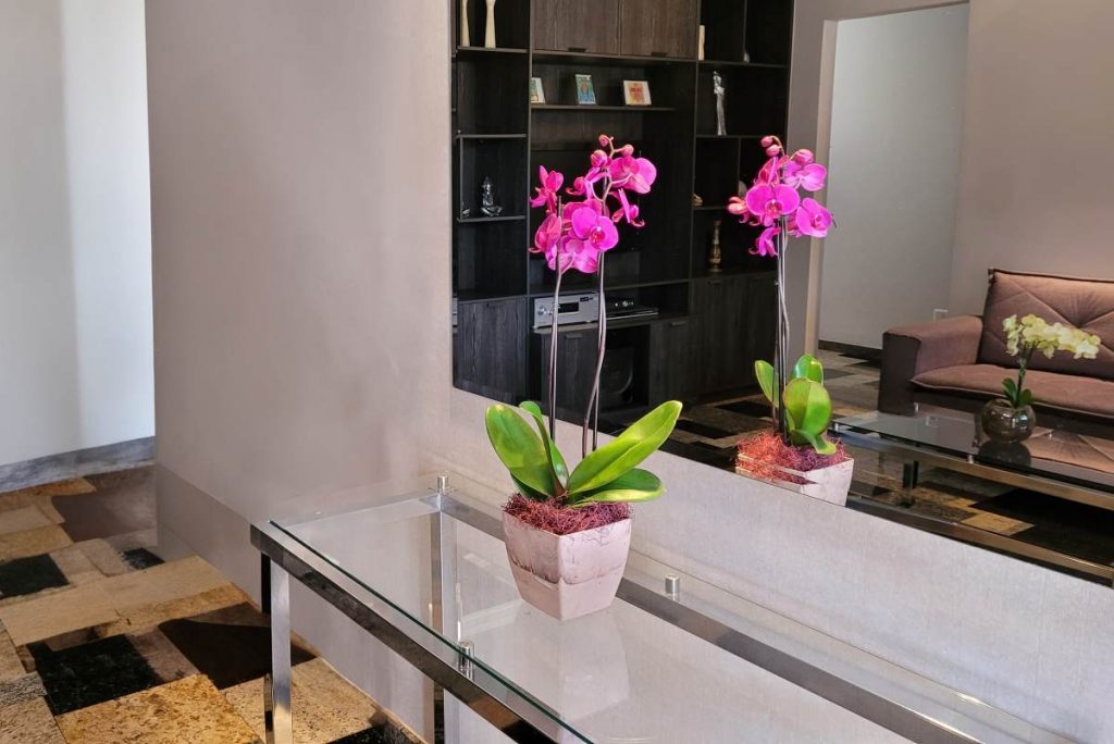 Mini Orquidário em Nichos Iluminados: Elegância e Delicadeza para Celebrar a Beleza da Vida - detalhe