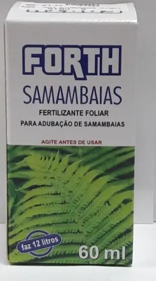 Samambaias Fortes com Casca de Ovo: Adubação Natural e Eficaz - detalhe