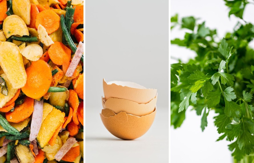 Adubo Turbinado com Casca de Ovo: Fortalecimento Natural para um Crescimento Robusto - inspiração