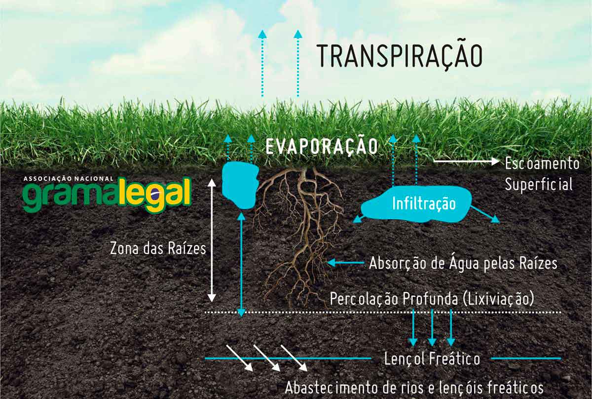 Gramado com Irrigação Inteligente: Tecnologia a Favor da Beleza - ideia