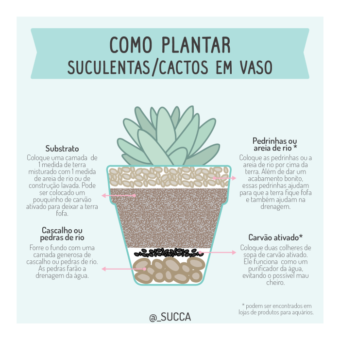 Solo Arenoso com Adição de Cascalho para Cactos e Suculentas Resilientes - ideia