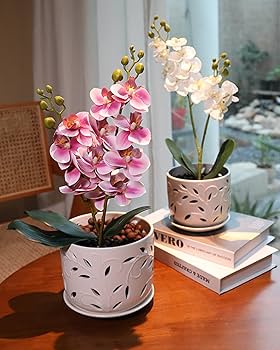 Orquídeas em Vasos de Cerâmica Decorados à Mão: Personalidade e Cor - ideia