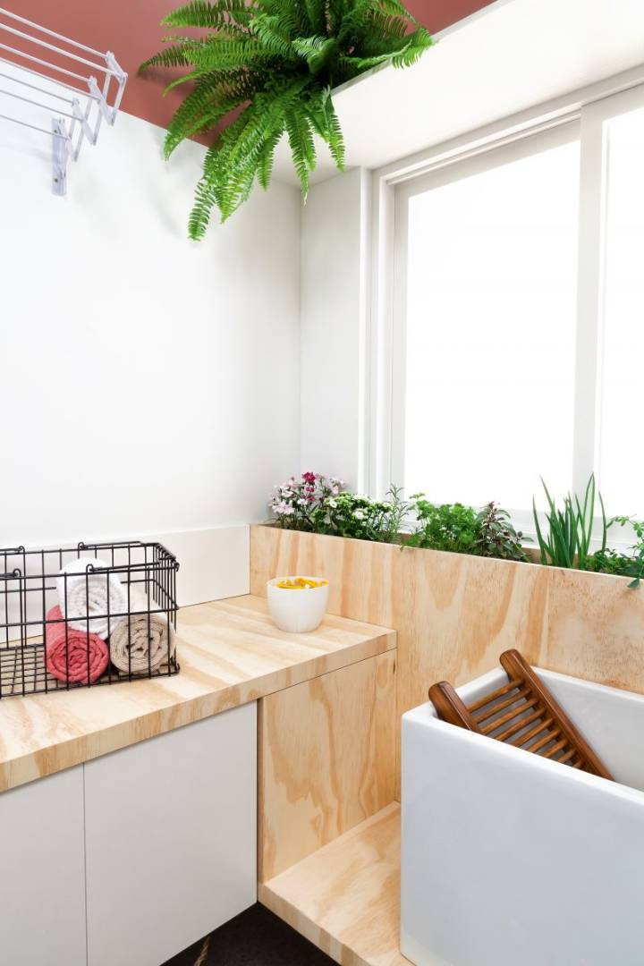 Em Vasos de Cerâmica Colorida: Alegria Vibrante - inspiração