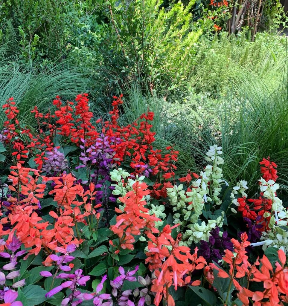 Jardim de Cheiros em Vasos de Cerâmica Colorida: Alegria Vibrante - ideia