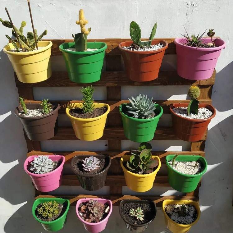 Jardim Vertical com Pallets Rústicos: Charme e Sustentabilidade! - ideia