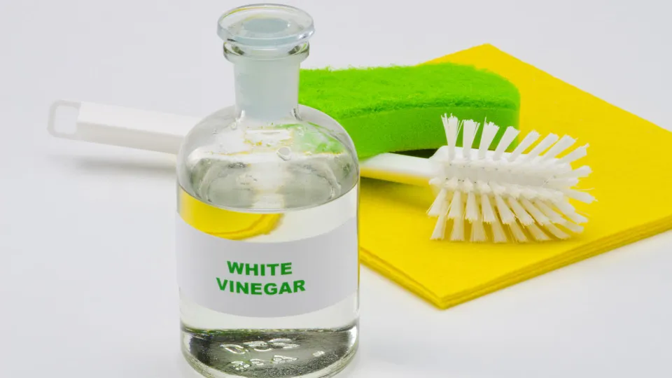 Borracha Protegida: Dicas para Conservar Seus Eletrodomésticos - detalhe