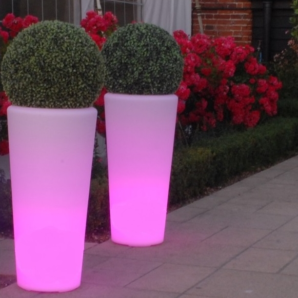 Vasos Iluminados com LED: Um Brilho Especial - ideia