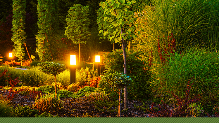 Gramado com Iluminação Estratégica: Destaque e Segurança Noturna - inspiração