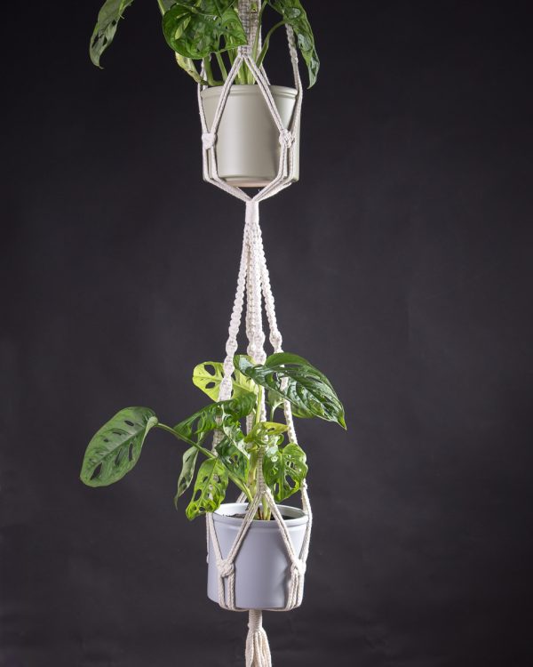 Em Vasos Suspensos Macramê - inspiração