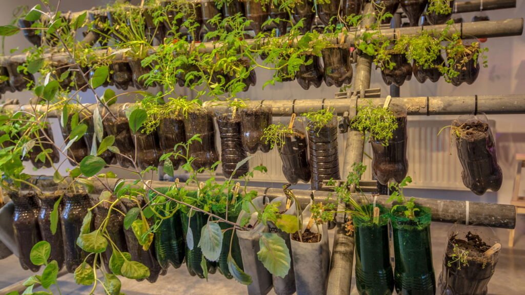 Com Garrafas PET: Sustentabilidade Criativa - inspiração