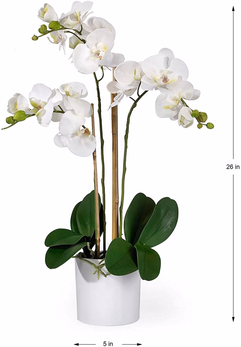 Minimalismo Zen: Orquídeas Brancas e a Calma que Sua Sala Pede - detalhe