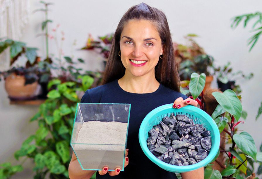 Adubação com Cinzas de Madeira: Um Toque de Potássio para Folhas Resistentes - detalhe