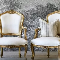 Poltrona Luis XV Repaginada: Elegância Clássica com um Toque Moderno - inspiração