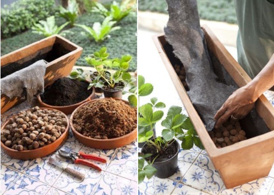 Camadas de Drenagem com Argila Expandida e Manta de Bidim para Orquídeas Elegantes - detalhe