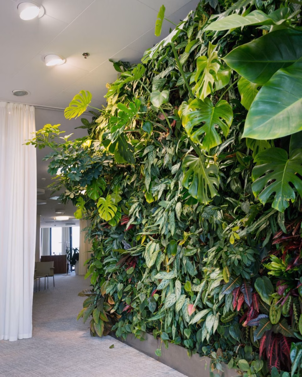 Em Jardins Verticais Modulares: Otimização de Espaço - inspiração