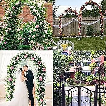 Romance no Jardim: Rosas Trepadeiras Enfeitando Arcos e Pérgolas - detalhe