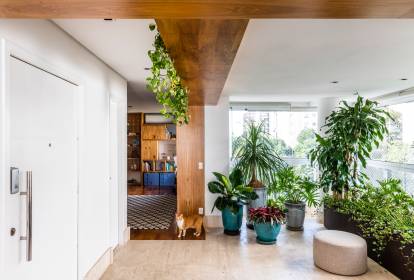 Mini-Selva Urbana: A Natureza Invadindo Seu Apartamento - detalhe