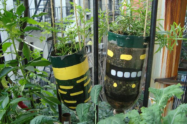 Com Garrafas PET: Sustentabilidade Criativa - detalhe