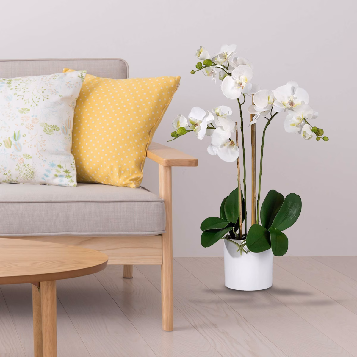 Minimalismo Zen: Orquídeas Brancas e a Calma que Sua Sala Pede - ideia
