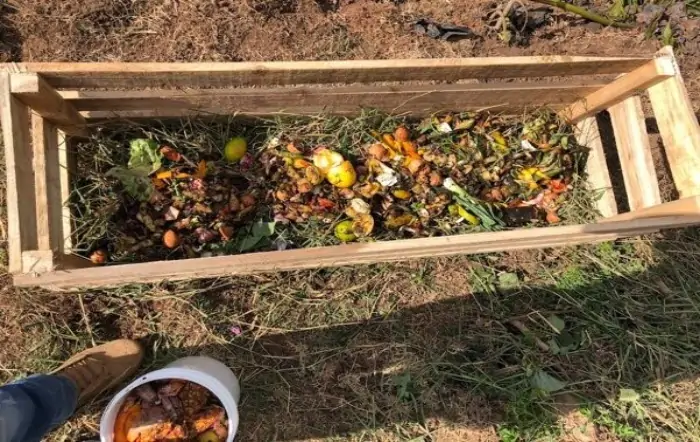 Adubo com Fezes de Animais Domésticos: Nutrição Orgânica e Sustentável - detalhe