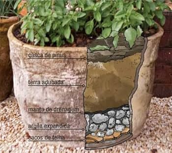 Camadas de Drenagem com Argila Expandida e Manta de Bidim para Orquídeas Elegantes - ideia