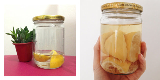 Com Vinagre Aromatizado: Desinfetando com Cheirinho Gostoso - inspiração