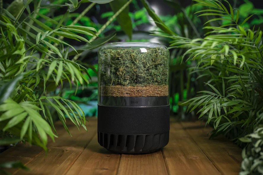 Filtro de Água Camuflado em Meio a Vasos de Plantas - inspiração