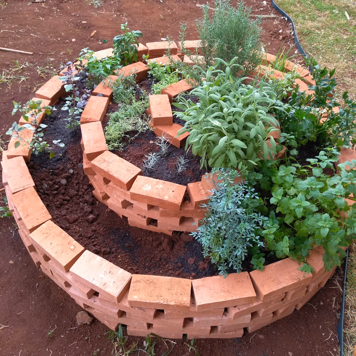 Espiral de Ervas Aromáticas em Canteiros de Pedra: Simplicidade Rústica - ideia