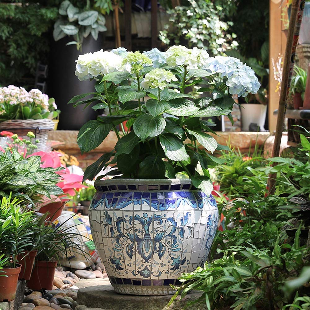 Buchinhos em Vasos de Cerâmica Azul: Charme Mediterrâneo - inspiração