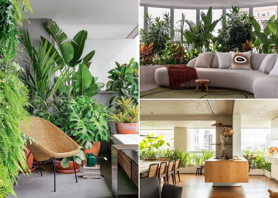 Mini-Selva Urbana: A Natureza Invadindo Seu Apartamento - ideia