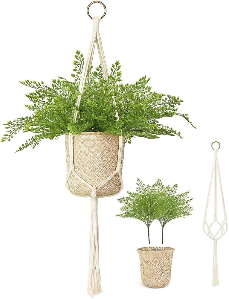 Macramê Suspenso com Samambaias e Suculentas: Um Toque Boho Chic que Acolhe e Encanta - ideia