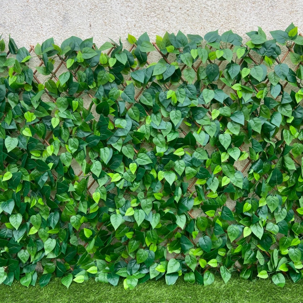 Elegância Rústica: Vedação com Bambu Tratado - ideia