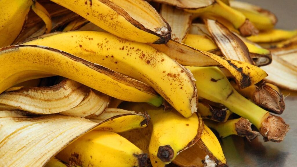 Chá de Banana para Samambaias: Uma Adubação Potássica Surpreendente - ideia