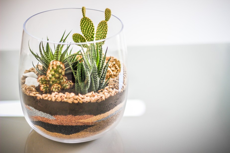 Terrários geométricos: Design moderno e elegante para suas suculentas - detalhe