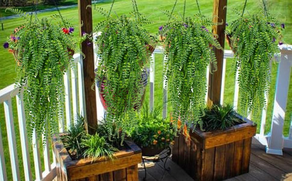 Plantas Pendentes: Samambaias e Outras Delícias Suspensas - ideia