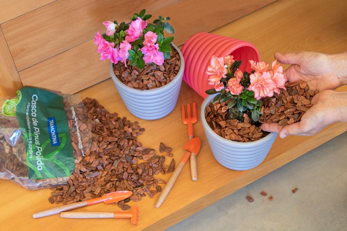 Substrato de Casca de Pinus para Azaleias com Flores Deslumbrantes - inspiração