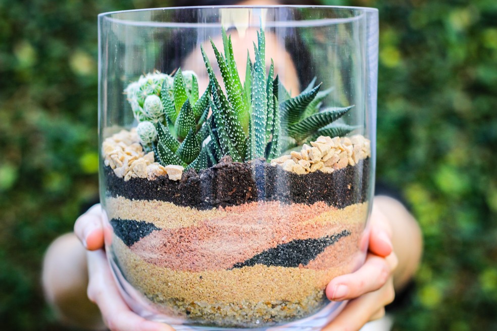 Terrário Luminoso com Cascatas de LED: Magia Noturna - detalhe