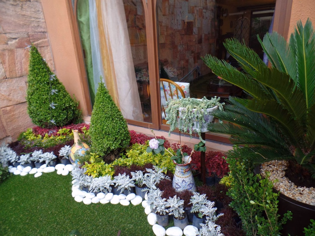 Contraste Moderno com Canteiro de Suculentas Floridas - ideia