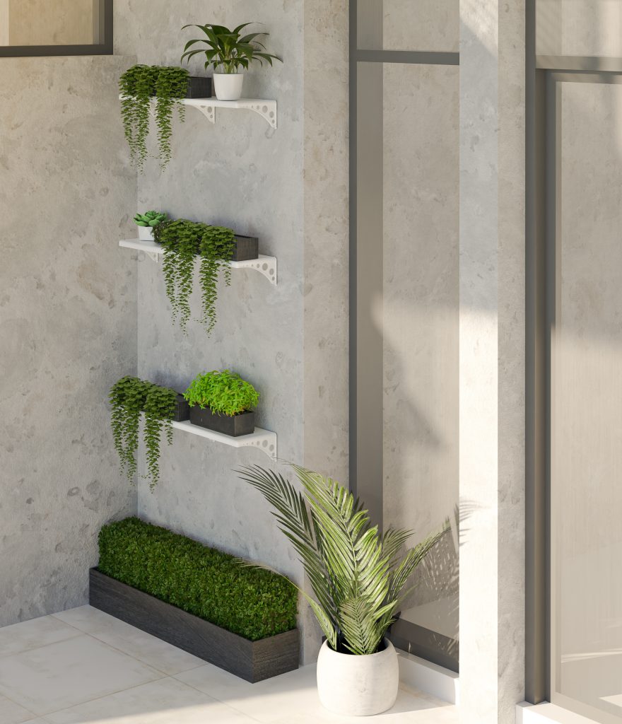 Prateleiras Canto com Plantas Pendentes: Um Jardim Vertical no Seu Banheiro - inspiração