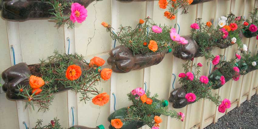 Jardim Suspenso com Garrafas PET Recicladas: Sustentabilidade Criativa - detalhe