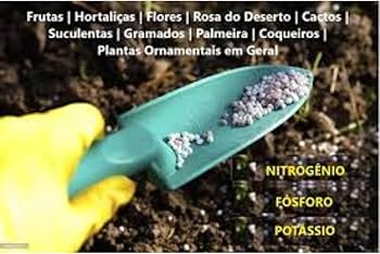 Adubação com NPK 10-10-10: Equilíbrio Perfeito para o Desenvolvimento - ideia