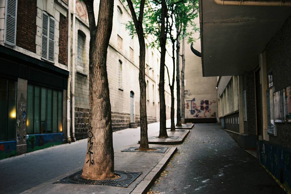 Calçada Acessível: Espécies que Respeitam a Mobilidade - ideia