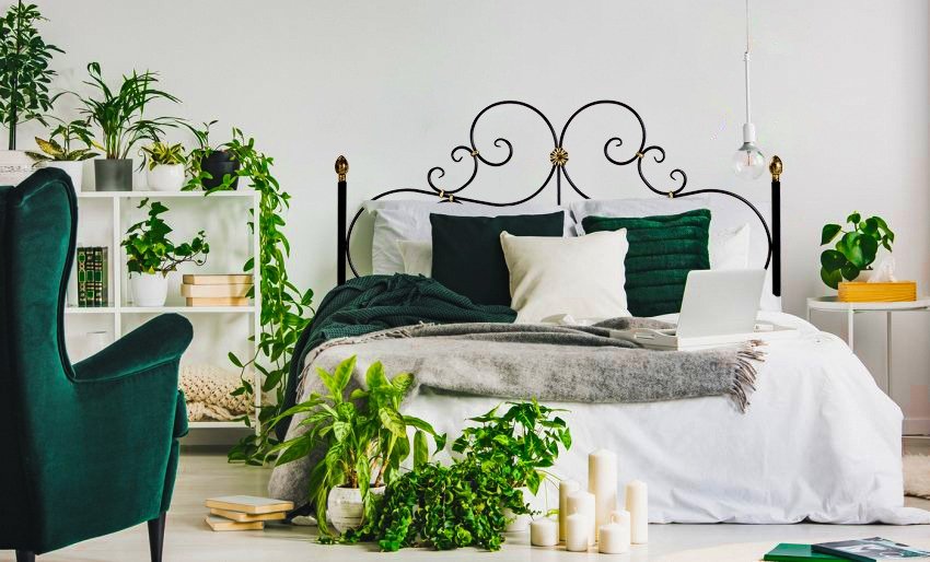 Cabeceira de Ferro e Plantas Pendentes: Um Jardim Vertical Relaxante - inspiração