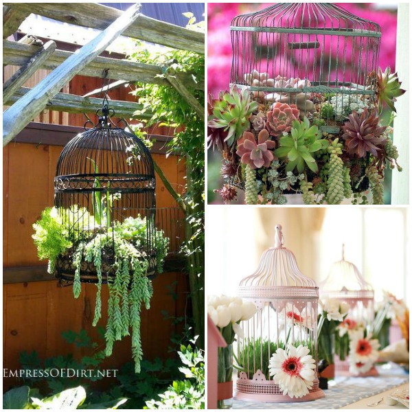 Gaiola Suspensa: Um Jardim Aéreo Cheio de Charme - inspiração